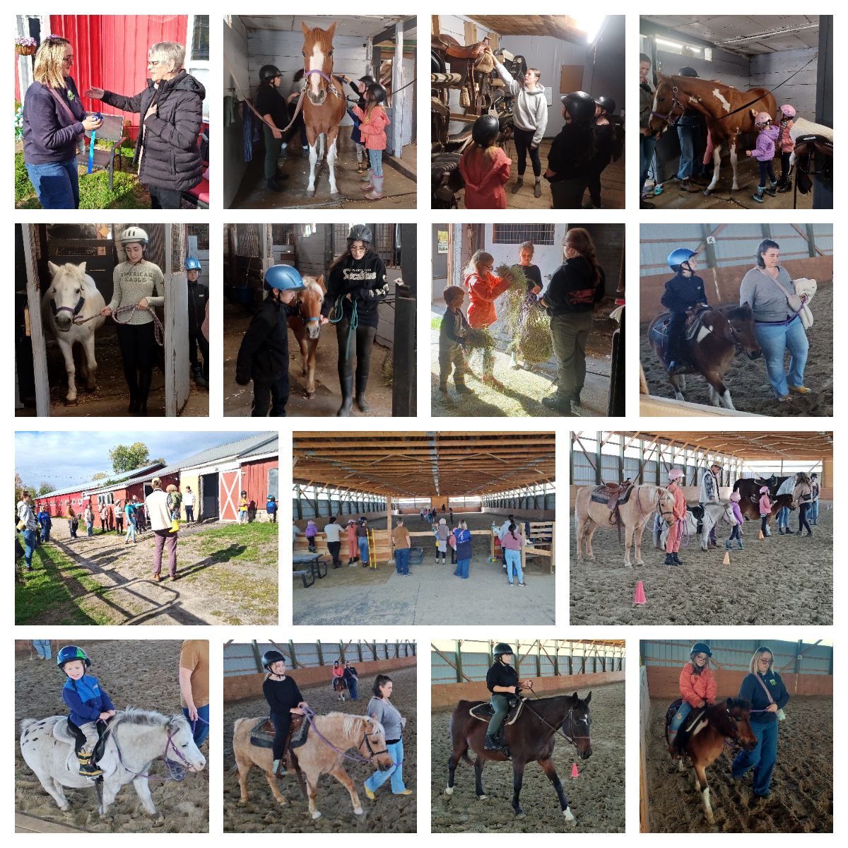 Learning With Horses: A Day We’ll Never Forget Learning With Horses: A Day We’ll Never Forget